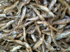 越南康氏側(cè)帶小公魚進口報關(guān)流程到廣州南沙案例